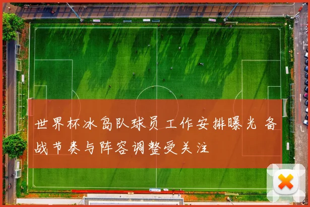 世界杯冰岛队球员工作安排曝光 备战节奏与阵容调整受关注
